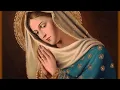 Download Lagu 17-01-2020  Terço da   Divina Misericórdia