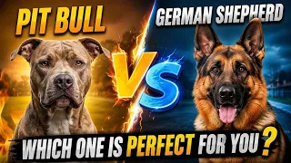 German Shepherd vs American Pitbull Which Is The Perfect Dog For You | Ultimate Comparison