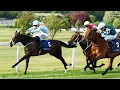 Bargain Β£6k buy ANTHELIA retains unbeaten in National Stakes | Racing TV