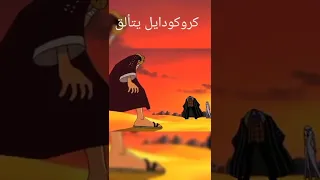 كروكودايل الفخم 