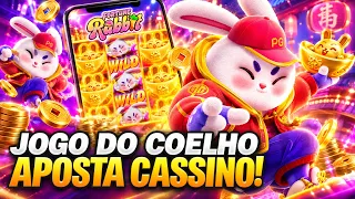 JOGO DO COELHO APOSTA JOGO DO COELHO CASSINO JOGO DE APOSTA DO COELHO JOGO DO COELHO CASINO