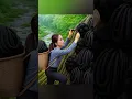 Download Lagu Harvest wild Bananas and goes to market sale #bushcraft #forageharvest