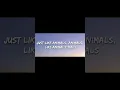 Download Lagu Maroon 5 - Animals (Lyrics) #lyrics #maroon5 #animals #music #song #viral #filter #love #fire