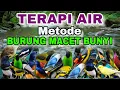Lagu METODE TERAPI AIR ALAMI UNTUK BURUNG MACET BUNYI, TERAPI AIR UNTUK SEMUA JENIS BURUNG MACET BUNYI 