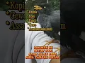 Download Lagu Cara melatih Jalak Kebo Bicara Setiap Hari #jalakputihgacor #birds #kicaumania #lolohan #parrots