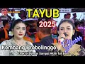 Download Lagu Cek Sound Tayub Terbaru 2025 Kembang Probolinggo Yang Enak Di Dengar Sampai Akhir