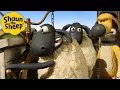 Lagu Big Sheep Adventure! 🐑 Shaun the Sheep 🐑  - Cartoons for Kids 🐑 Full Episodes Compilation [1 hour]