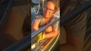 Boat Life Stainless #boatlife #boatwork  #boatlifehumor