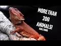 You Won t Believe What s in My Reptile Room FULL TOUR