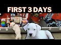 So I got a Dogo Argentino Puppy