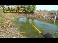 Download Lagu Ini baru rekor terpecahkan...,, Awal mancing sampai akhir ikan yang naik babon tok! 
