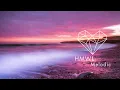 Vintage Culture - Fractions (Extended Mix)