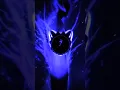 Download Lagu SLAY! - Eternxlkz | Slowed - Reverb  #1million #phonkkslv #viraltiktok #avee_player #phonk #2024