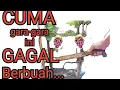 Download Lagu Cuma gara-gara ini gagal berbuah