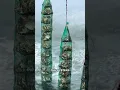 How Farmed Oysters Are Cleaned Before Reaching Your Plate