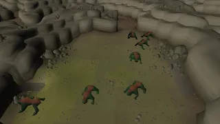 Basilisks - OSRS 60FPS 2k B Roll