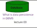 What is data persistence in DBMS hindi urdu lecture 3