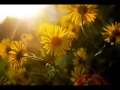 Kenny G - Sentimental (Long Version)