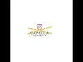 Rebuilding My Path Lessons Learned from Being Kicked Out of Capella University