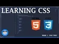 LEARN CSS FREE FULL STACK WEB DEVELOPMENT BOOTCAMP DAY 2 WEEK 1