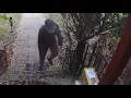Person of Interest in Theft II 5700 16th St NW on October 27 2020