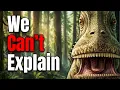 New Evidence Just Changed Everything We Know About Dinosaur Teeth