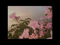 dua lipa - love again (slowed + reverb)