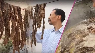 مراحل تحضير  الخليع  مع أشهر خلاع مغربي دندنها