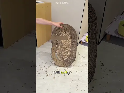لوح نوكيا يقهر القطة 🐈🛡️