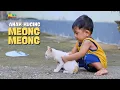 Download Lagu Anak Kucing Meong Meong ll Lagu Anak Populer ll Anak Kucing Lucu
