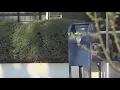 State s tour troubled USPS facility in Atlanta What they said