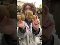 Download Lagu I Bet You've Never Seen Kiwi Fruits Like These! #shorts