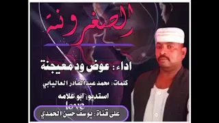 عوض معيجنة سمحة السمحات الصغيرونة 