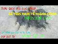 Download Lagu bẫy quốc || tiếng quốc mồi chuẩn không tạp âm # dùng bẫy  mồi kẹp loa , bẫy thòng #sanbattv