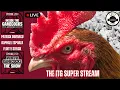 Gamecocks Live New Offensive Staff Are Introduced and Face the Press