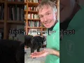 Download Lagu How you can tell if your dog has Cancer