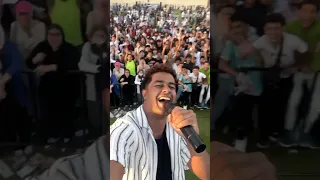 إتجمعنا أنا و جمهور القطط في حفلة 