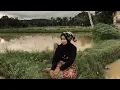 Lagu VIDEO PROFIL NAGARI TABEK SIRAH TALU