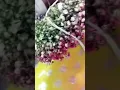 Download Lagu Bridal Flowers Making by using Kobe spray....