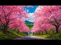 Download Lagu Calming music for the nerves 🌿 healing music for the heart and blood vessels, relaxation, music for