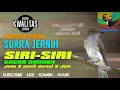 Download Lagu Masteran Burung SUARA BURUNG SIRI SIRI GACOR JERNIH dan RELAXASI AIR dijamin nyaman buat jagoan Edan