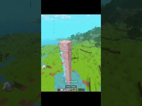 Minecraft Invisible Elevator Moment