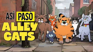 GATOS CALLEJEROS | RESUMEN EN 23 MINUTOS