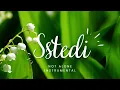 Sstedi-Note Alone INSTRUMENTAL