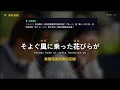 【名曲教學】Ado〈春に舞う〉春天初戀的悸動 3步學告白神曲｜完整語法解析 | 全歌詞文法・單字・拼音特訓 ｜(完整中日歌詞/羅馬拼音)