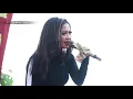 Download Lagu BULAN SEPARUH   RENA KDI [ADELLA KUTUK 2019]