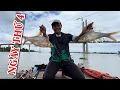 Download Lagu CÂU CÁ SÔNG CÙNG ANH TÍNH NGÀY 4 CÂU CÁ Ở BÈ NUÔI CÁ VEN SÔNG VÀ THẢ THÍNH THẦY TÂM LÚ