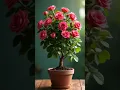 Download Lagu Rozen enten: 🌹 T-budding-techniek🥀
