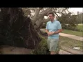 Destruction in Downtown Venice after Hurricane Ian