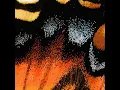murmures - Jean-Michel Blais
